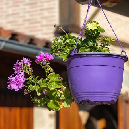 Oustal De La Frayssiere Felzins