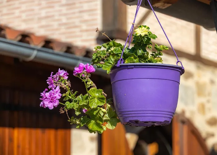 Oustal De La Frayssiere Felzins